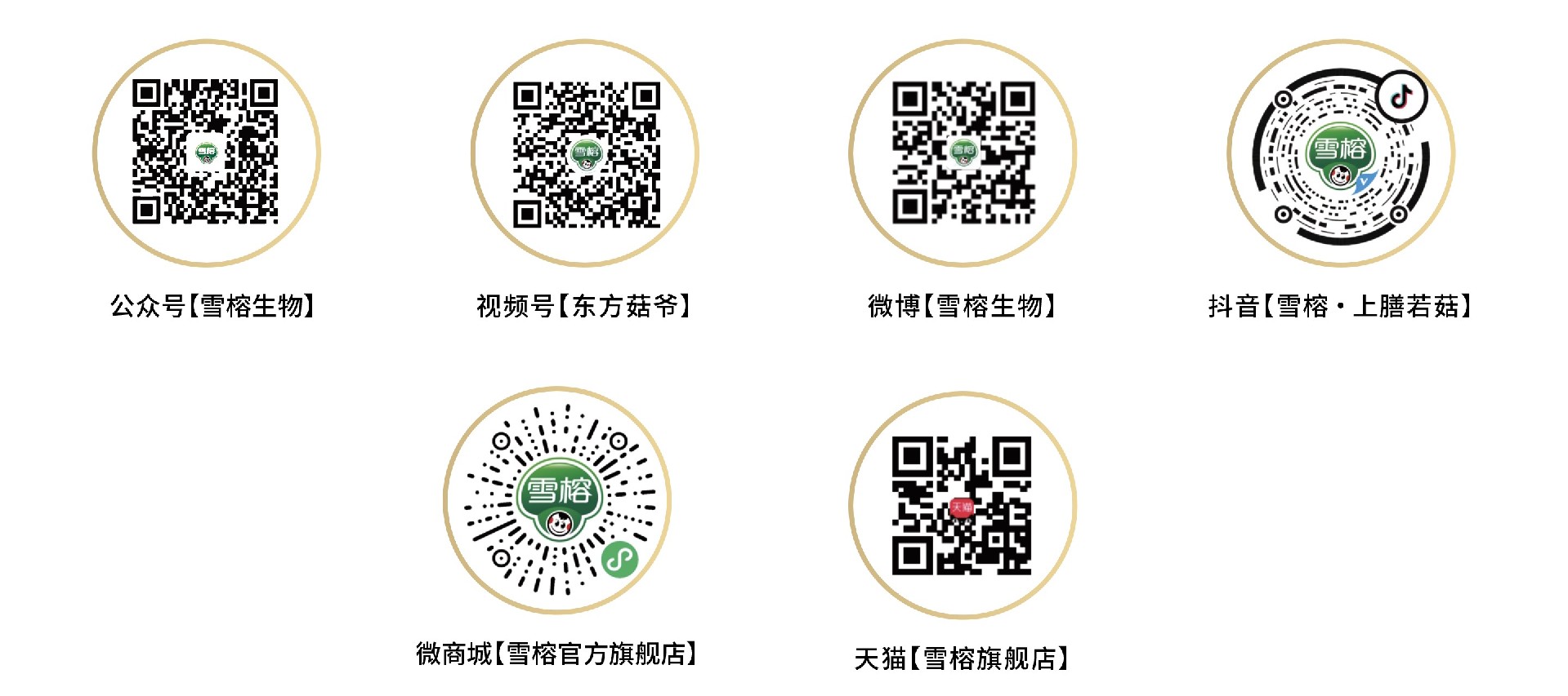 微信图片_20201105162724.jpg